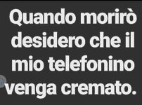 FB_IMG_1685982098003.jpg
