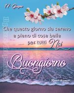 FB_IMG_1686968203749.jpg