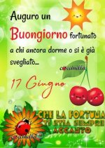 FB_IMG_1686986222034.jpg