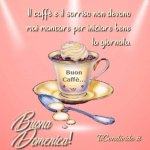 FB_IMG_1687055327673.jpg