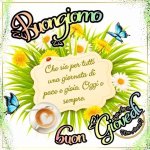 FB_IMG_1687398466758.jpg