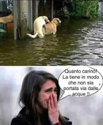 09.jpg