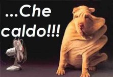 buongiorno-divertente_678.jpg