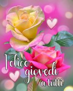 FB_IMG_1688002029252.jpg