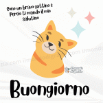 Bellissime-buongiorno-gif-animate-nuove.gif