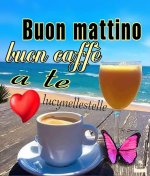 FB_IMG_1688452376789.jpg