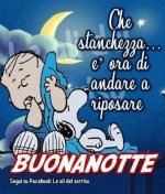 Link-di-Buonanotte-43.jpg