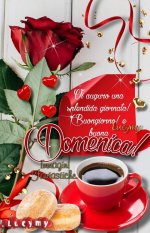 FB_IMG_1688875836703.jpg