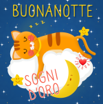 buonanotte-immagini-sogni-doro-con-GATTO-foto-e-gif-bellissime-gratis-WhatsApp-Facebook-231940...png