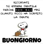 FB_IMG_1689107629478.jpg
