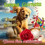 FB_IMG_1689395446501.jpg