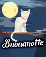 buonanotte-gatto_1.jpg