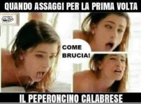 FB_IMG_1689442592131.jpg