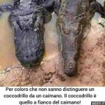 5bf9acfce98e7adc62d3902640c5d14c4796.jpg