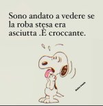 FB_IMG_1689545742370.jpg