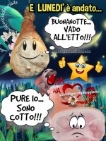 FB_IMG_1689631077694.jpg