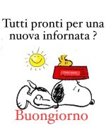 FB_IMG_1689660287974.jpg