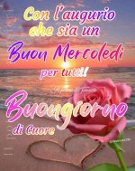 FB_IMG_1689739969029.jpg