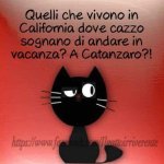 FB_IMG_1689871031233.jpg