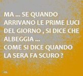 FB_IMG_1689858954704.jpg