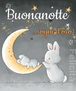 Immagini-di-Buonanotte-per-gli-amici-virtuali-di-Fb-21-861x1024.jpg