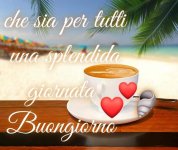 FB_IMG_1690258056631.jpg