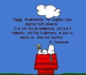 FB_IMG_1690353747841.jpg