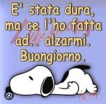 FB_IMG_1690489725482.jpg