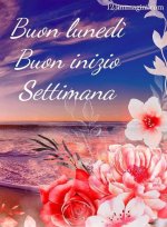 FB_IMG_1690766310746.jpg