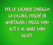 FB_IMG_1690956157300.jpg