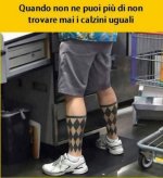 FB_IMG_1691044868792.jpg
