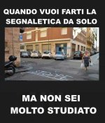 FB_IMG_1691044819057.jpg