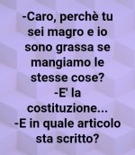07.jpg