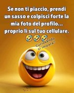 FB_IMG_1690895833054.jpg