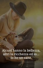 FB_IMG_1691044770538.jpg