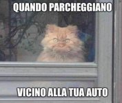 FB_IMG_1691092938101.jpg