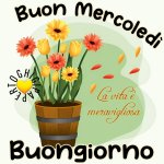 mercoledi-buongiorno-immagini-buon-mercoledi-bel-vaso-fiori-meravigliosa-giornata-nuove-2023-g...jpg