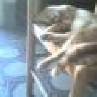 UnfaciLotto
