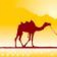 Camel20
