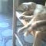 UnfaciLotto